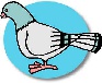 birthday party bird
